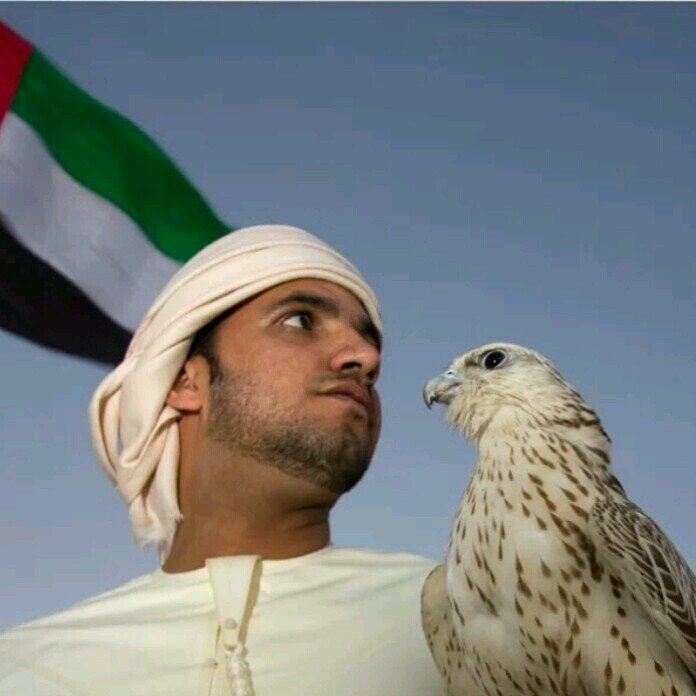 طيار مدني  ..
