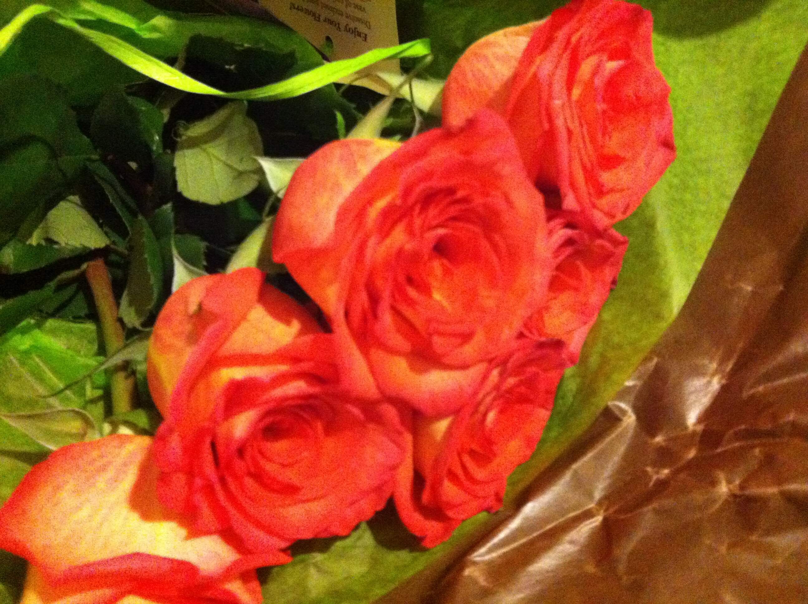 honest_dating's profile picture. What we're really thinking during the dating process, written by two gals in San Diego and New York City