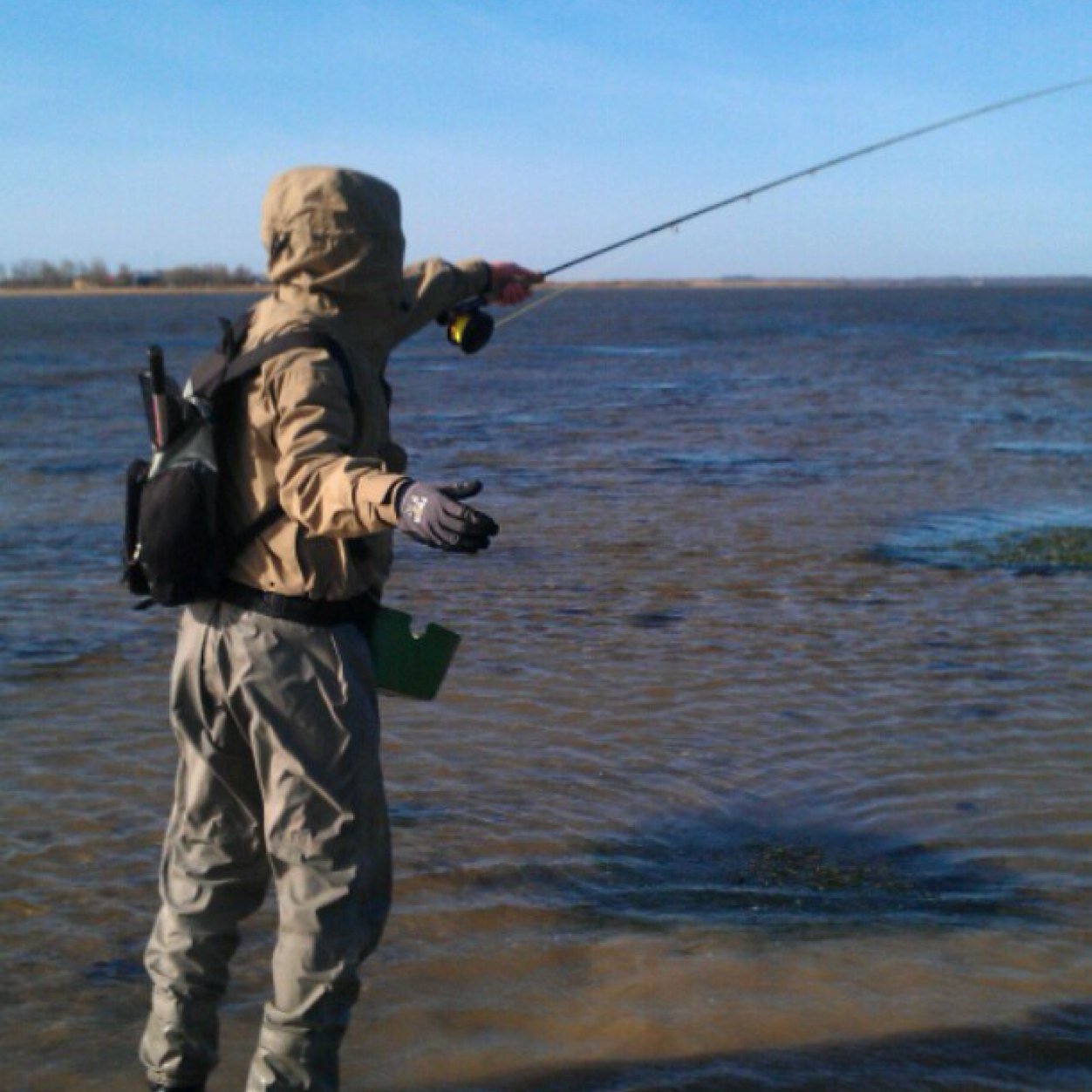 DenBubbes's profile picture. 