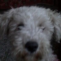 Omar de León. (@eoodeleonm) 's Twitter Profile