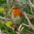 _susan_11's profile image