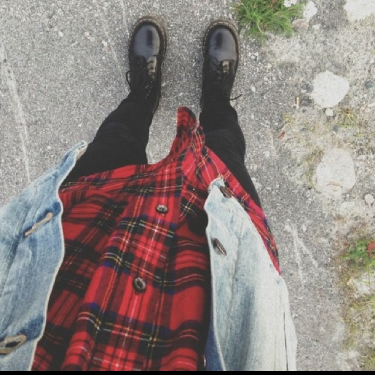 nightshades_'s profile picture. 