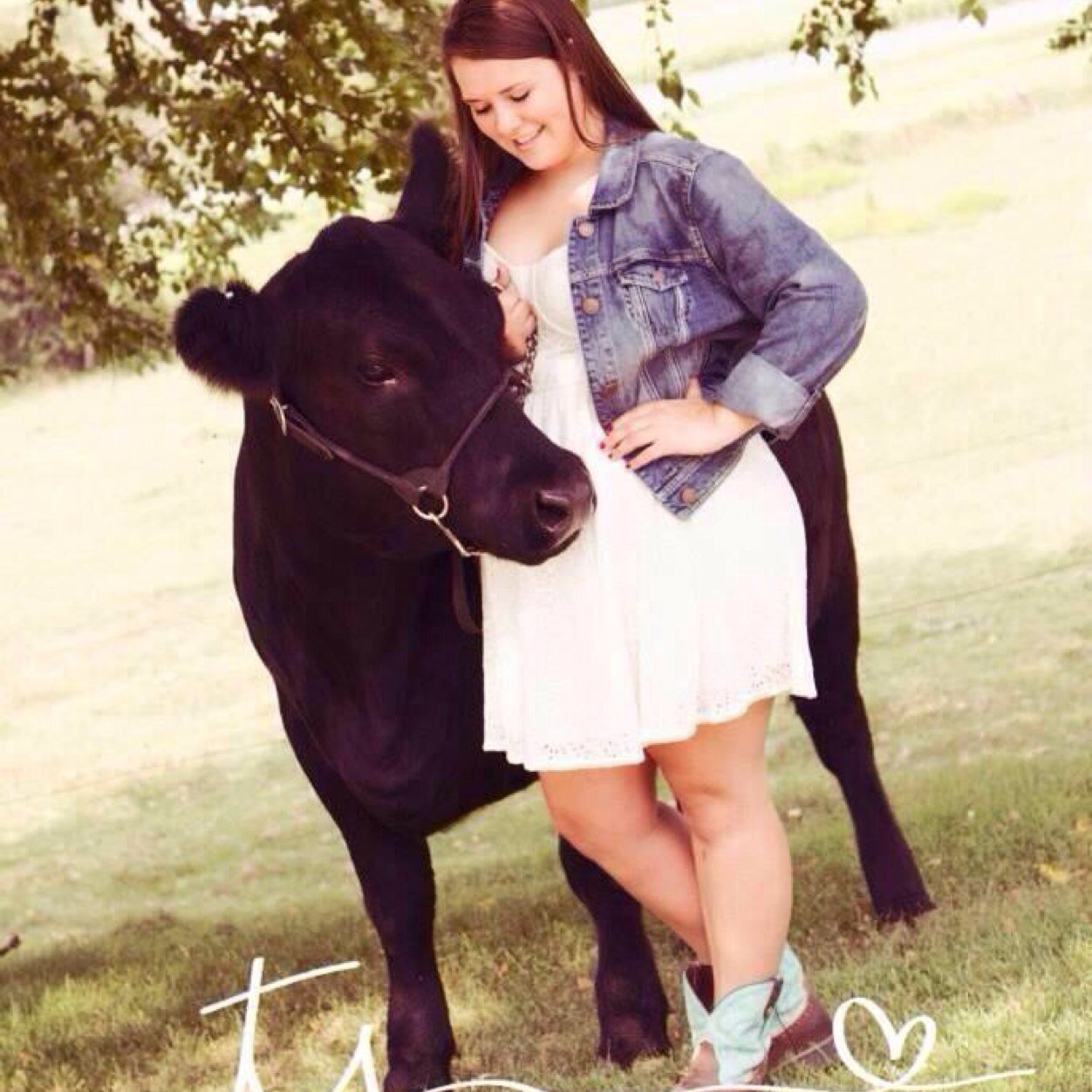 clublambss's profile picture. it's not a sport, it's a lifestyle.