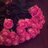 Marim_1416's profile image