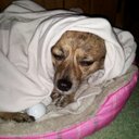 Kent Groth - @KentGroth - Twitter