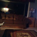 Phyllis Lake - @phyllislake - Twitter