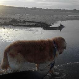 eplatt87's profile picture. 