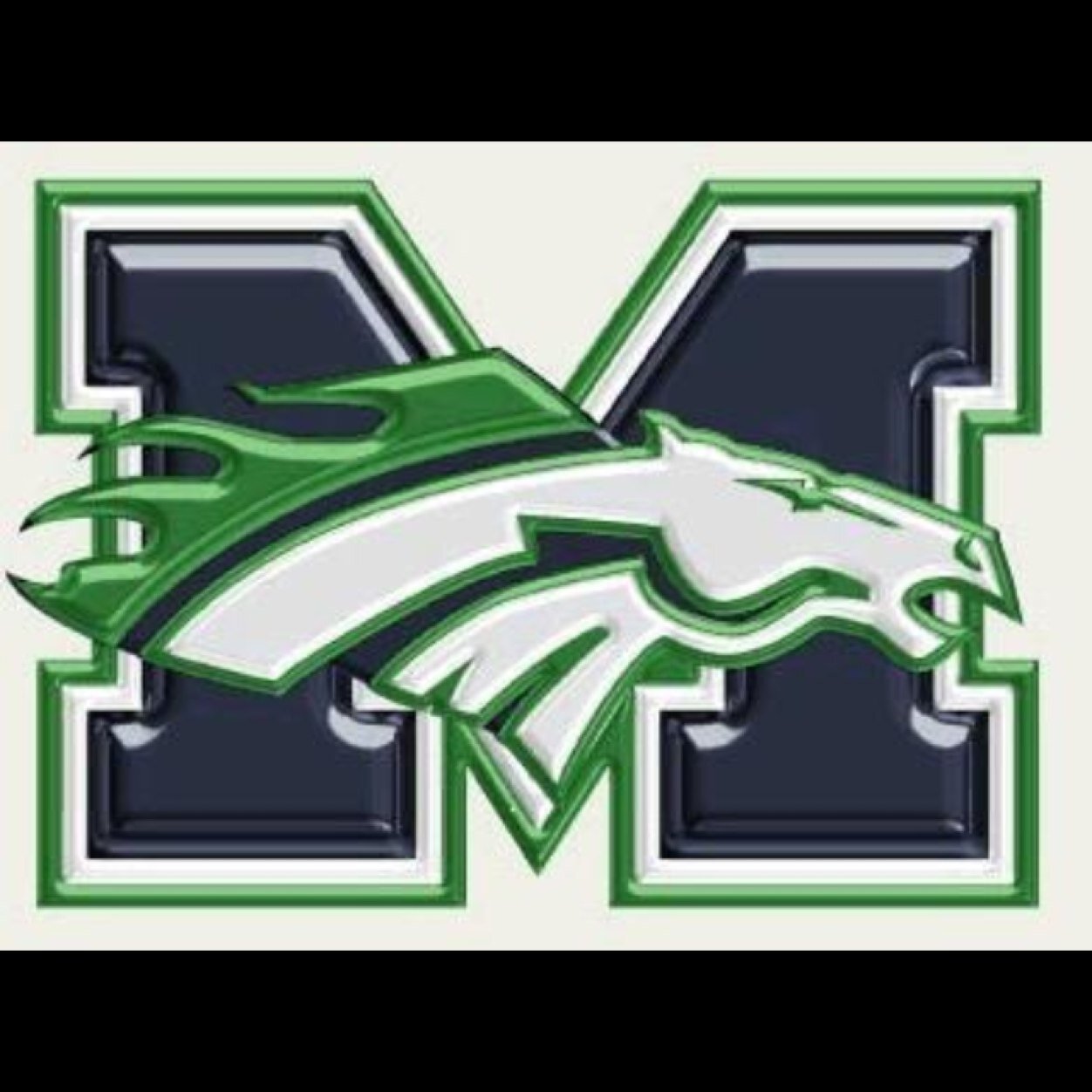 STANG GANG BABY! Also check out the group on facebook!