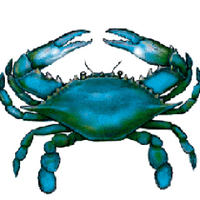 Maryland Problemz (@marylandprobz) 's Twitter Profile Photo Maryland Problemz (@marylandprobz) 's Twitter Profile Photo