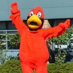 Feel free to message a compliment to a BA student to be tweeted anonymously. Spread the love, and create smiles.