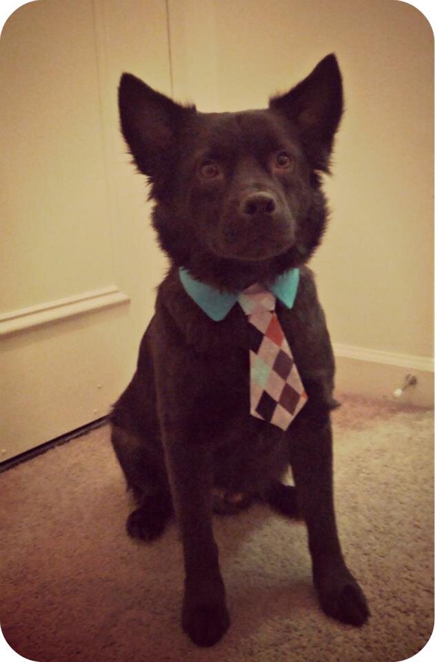 bekk527's profile picture. 