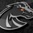 BornBronco