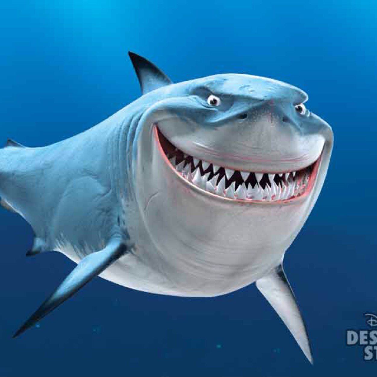 aussietubaroes's profile picture. Só seguir e te avisamos nossa localização.