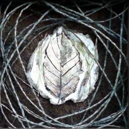 Bananannews's profile picture. 