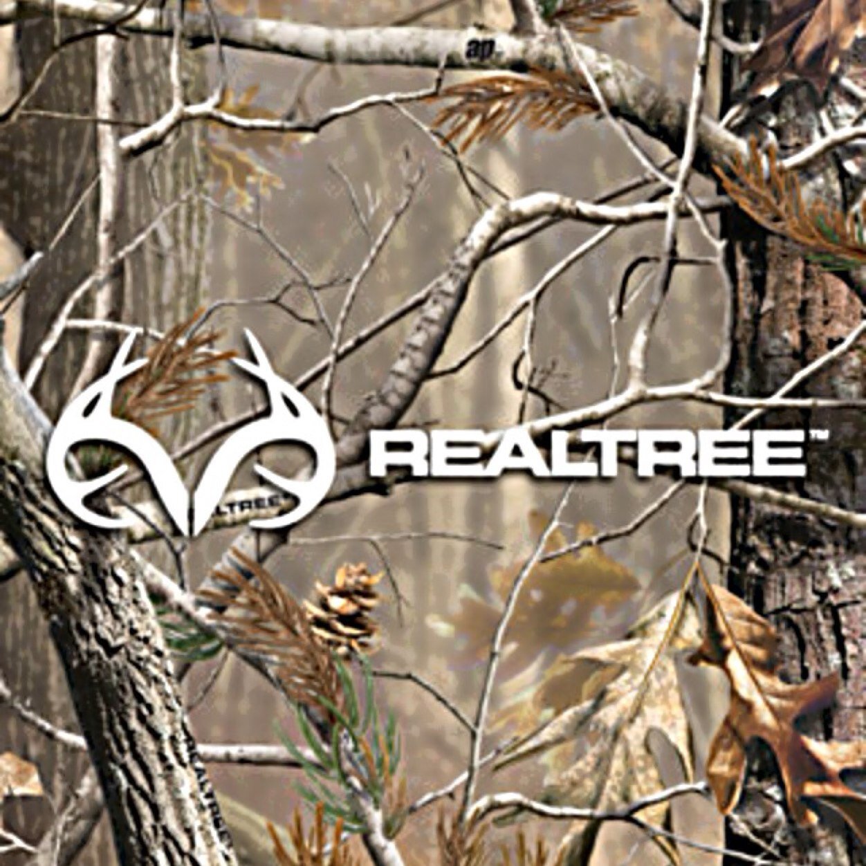 colby_lazorchak's profile picture. 