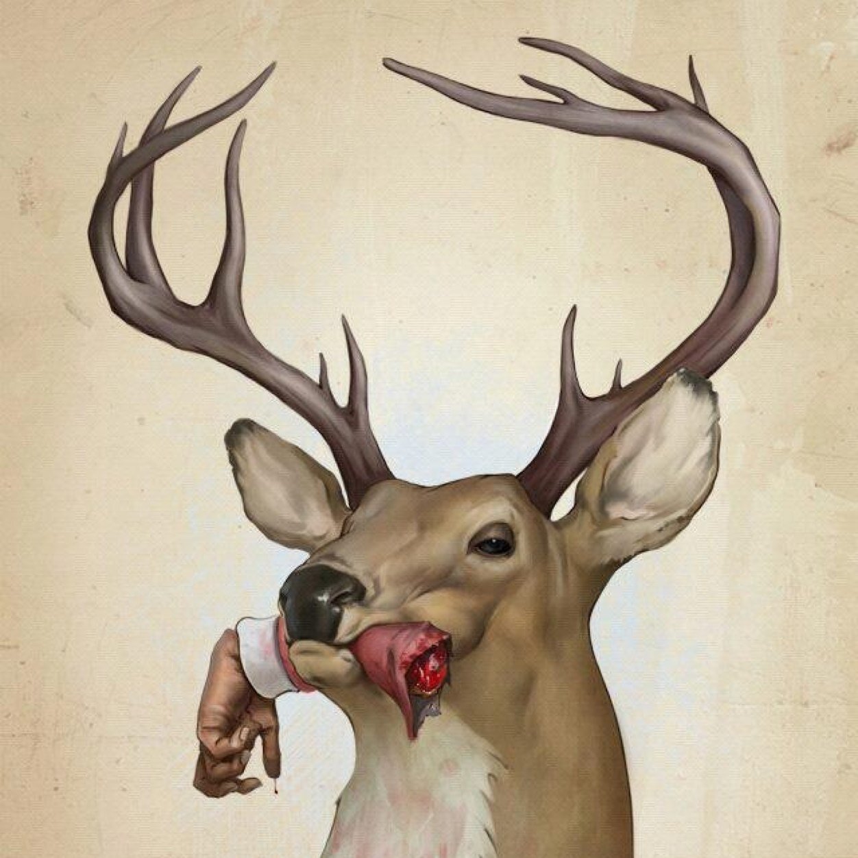 cadrobe's profile picture. Psicopedaleante