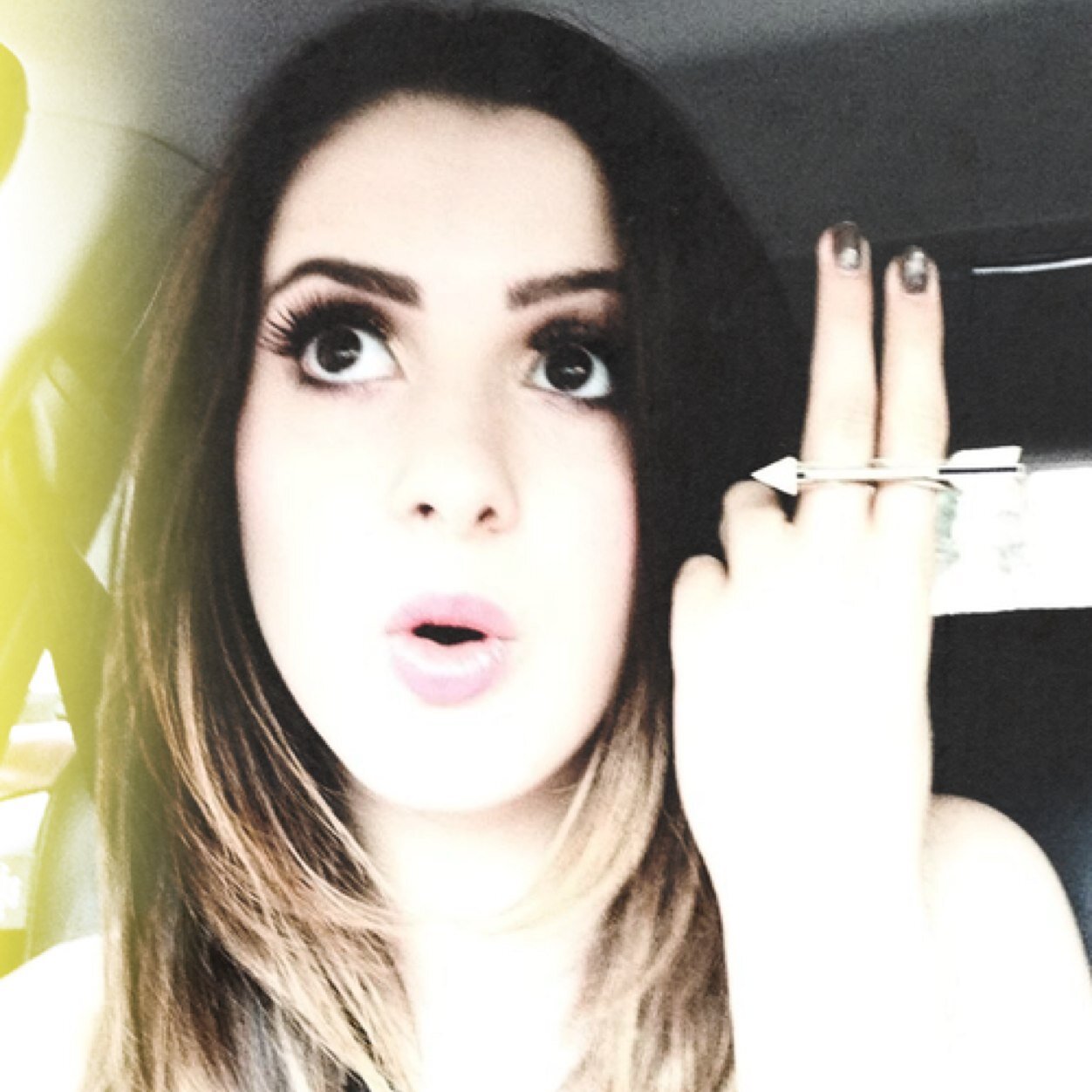 HeyItsAllyD_'s profile picture. pickles are my life. enough has been said.