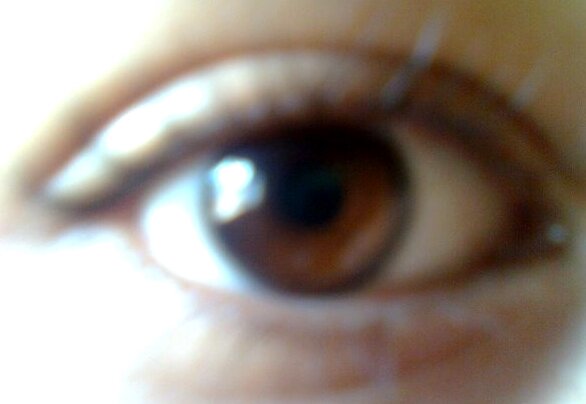 oi glr eu sou o @thalestv. fiz essa extençao do meu tumblr o lyudiinvalidy porque eu quis mesmo hehehe postarei aqui imagens e videos.