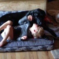 p dowell (@pdowell14) 's Twitter Profile