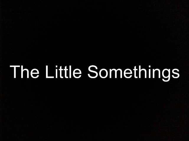 We're an acoustic band called The Little Somethings @Bennedeanvdm @NerissaKamstra :-)