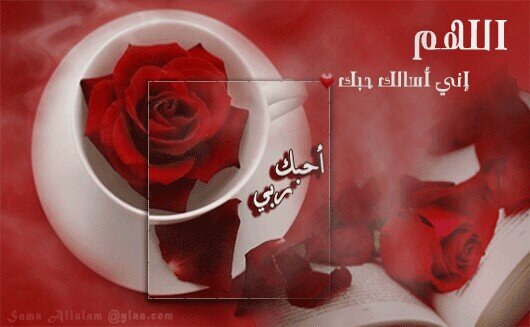 ‏‏تامل الحياه وتفكرفليس هناك ثمة شيء يستحق ان تحارب لاجلها فهي فانيه .. فابذل في الفانيه للدار الباقيه ..