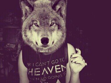 MajoCortez__'s profile picture. La vida no solo se mide en años