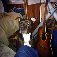 Steve Thomas (@stevertthomble) 's Twitter Profile