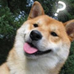 byannnn's profile picture. (ﾉ◕ヮ◕)ﾉ*:･ﾟ✧intellectual tweeting*･ﾟ✧*