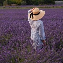 dlblog's profile picture. A blog dedicated to finding the best natural beauty and skincare products as well as how to make your own, some DIYs, and healthy living