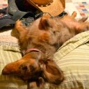 Lisa Eisenbraun-Long - @LisEisenbraunLo - Twitter