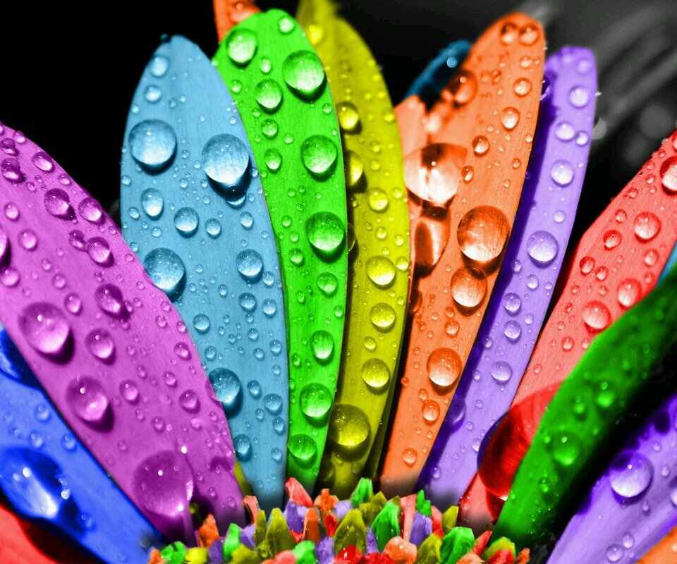 soofaa3's profile picture. ﺳُﺒْﺤَﺎﻥَ ﺍﻟﻠَّﻪِ ﻭَﺑِﺤَﻤْﺪِﻩِ ﻋَﺪَﺩَ ﺧَﻠْﻘِﻪِ ﻭَﺭِﺿَﺎ ﻧَﻔْﺴِﻪِ ﻭَﺯِﻧَﺔَ ﻋَﺮْﺷِﻪِ ﻭَﻣِﺪَﺍﺩَ ﻛَﻠِﻤَﺎﺗِﻪِ