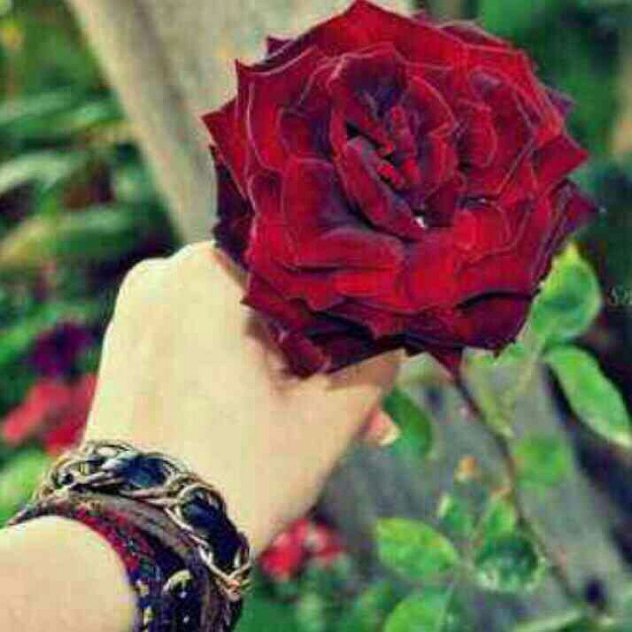 @k11k22k33k44: أعماقُنا مليئةٌ بكل مايَصعُب البوح به.       ماجيت ادور في تويتر علاقات * الخاص ممنوع
