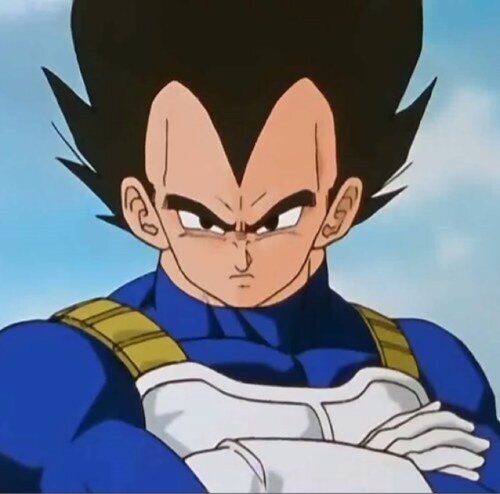 I am vegeta the prince of all saiyans!
