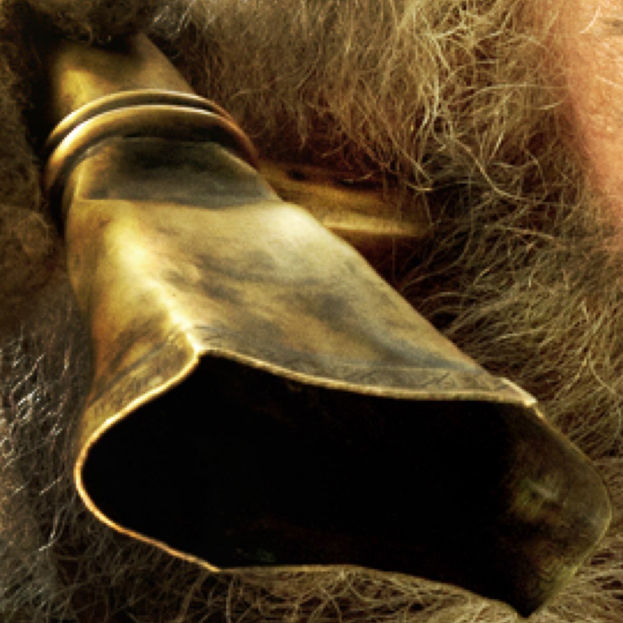 The loyal device of Óin the dwarf | previously lost weight in the goblin tunnels | trusted hearer and listener | currently taking a long bath outside of Moria