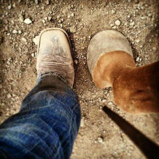 Eat, sleep, farm, repeat.