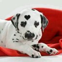 Hazel Cabrera - @bonejita16 - Twitter