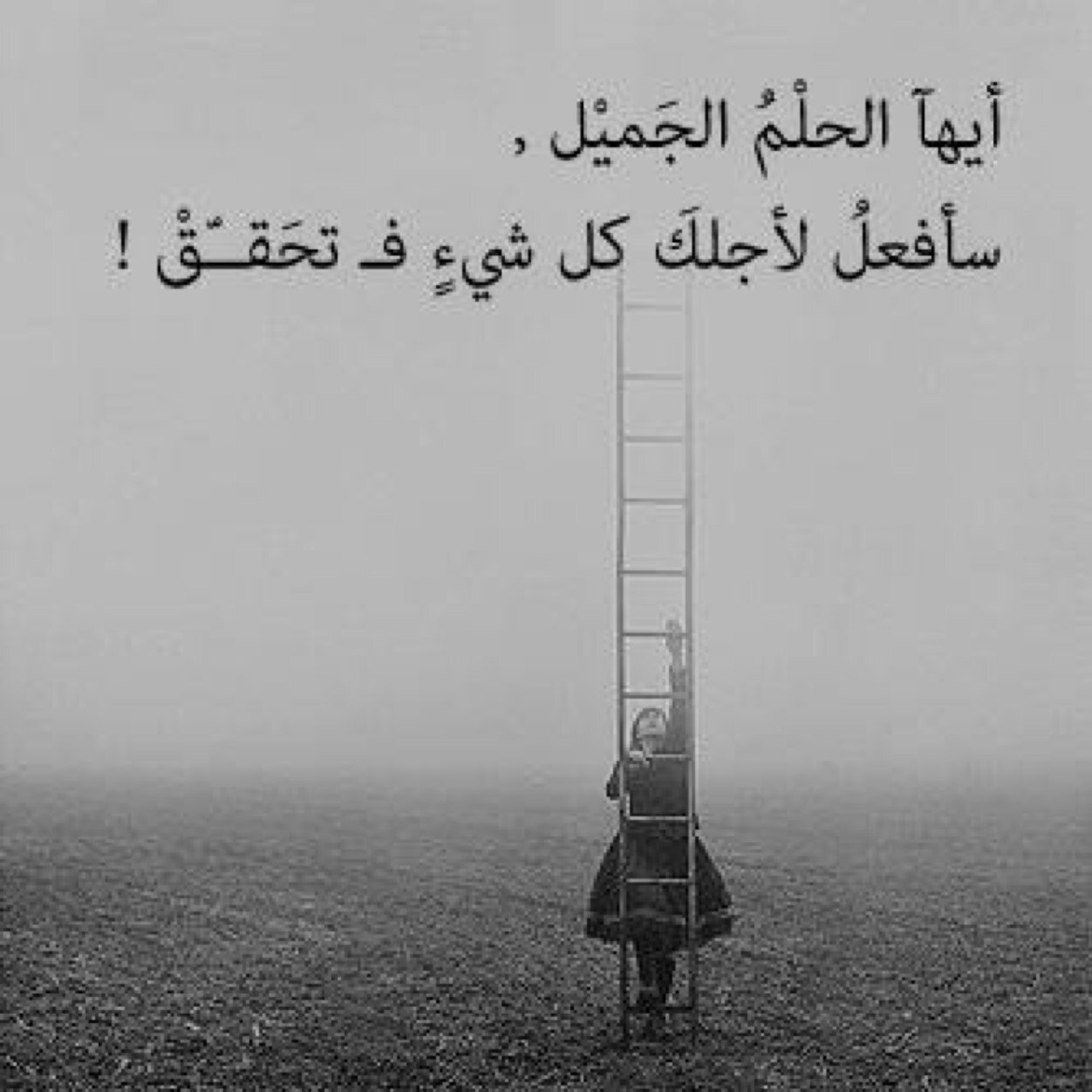 اجتماعي ، مُحب لوطني الغالي