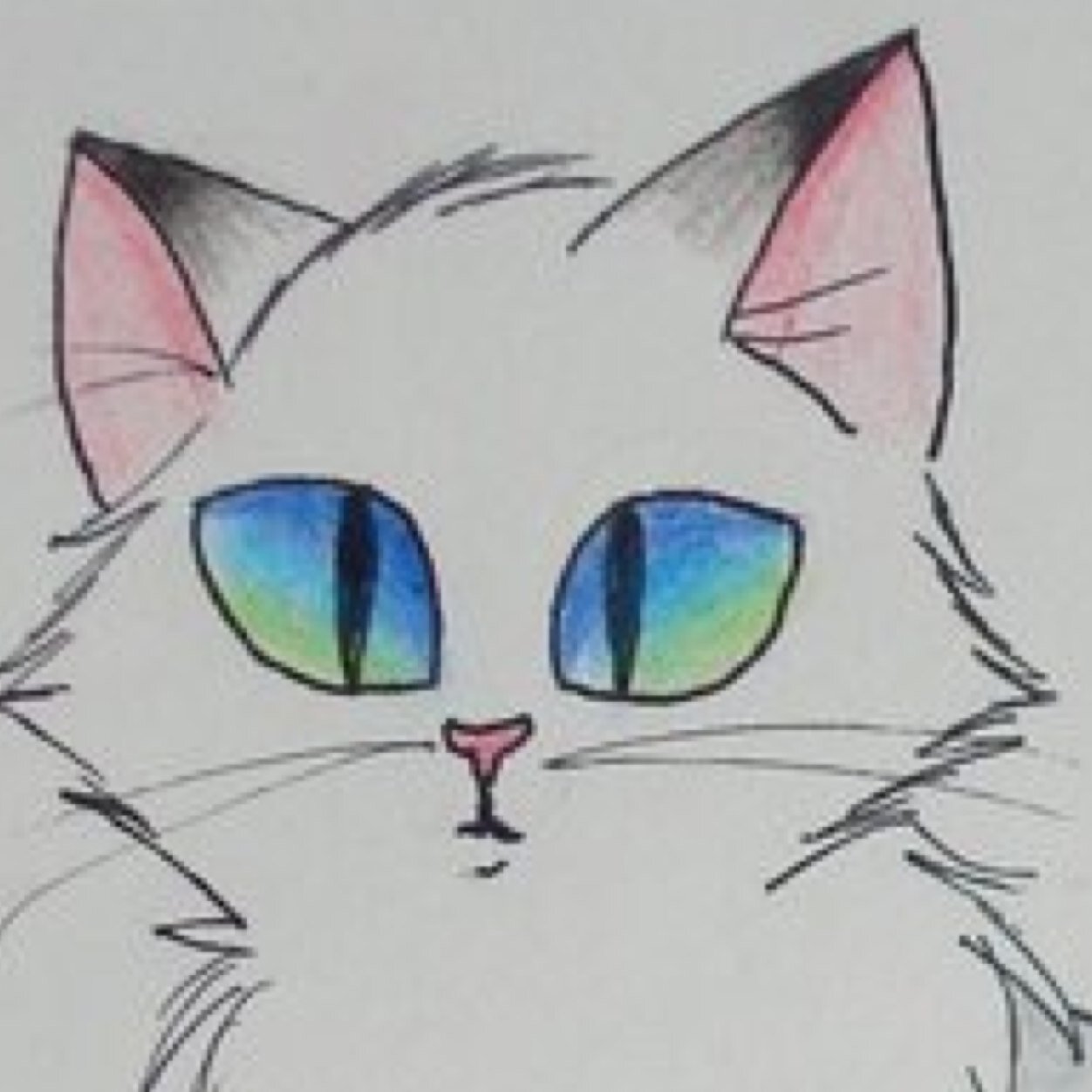{Looks like profile pic} #Shy #SheCat #Single #HeartBroken Lives alone in a shadow of sadness. Can be friendly sometimes, unless you hurt my feelings.