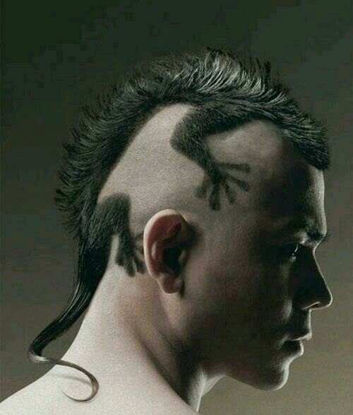 derieck556's profile picture. 