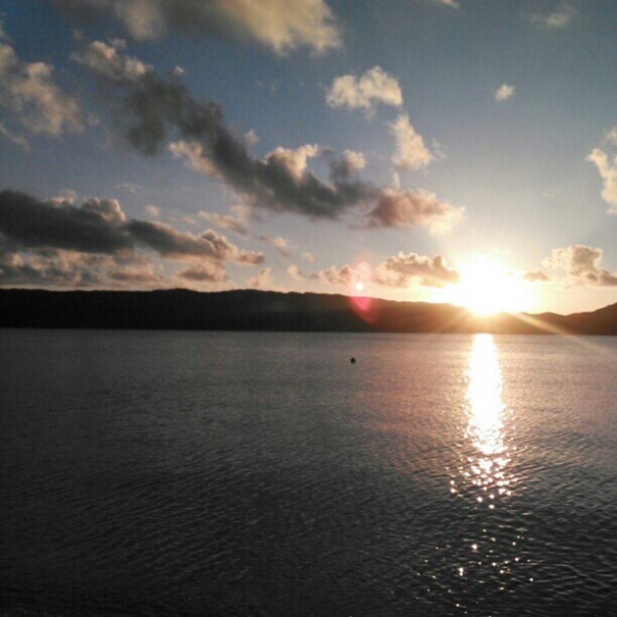 0407_stalcry's profile picture. 