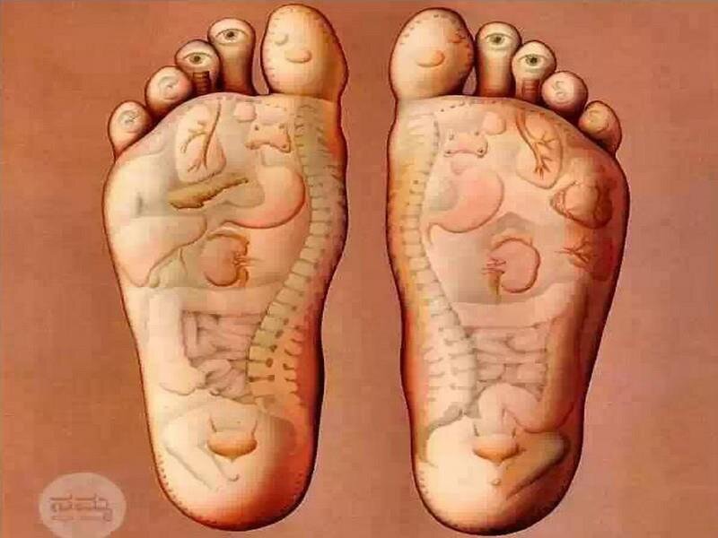 Licensed Massage Therapist