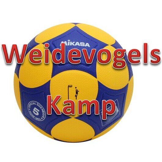 WeidevogelsKamp's profile picture. Weidevogels kamp twitteraccount. 9 juli 2016 vertrekken we om een geweldige week te beleven in Werkhoven!