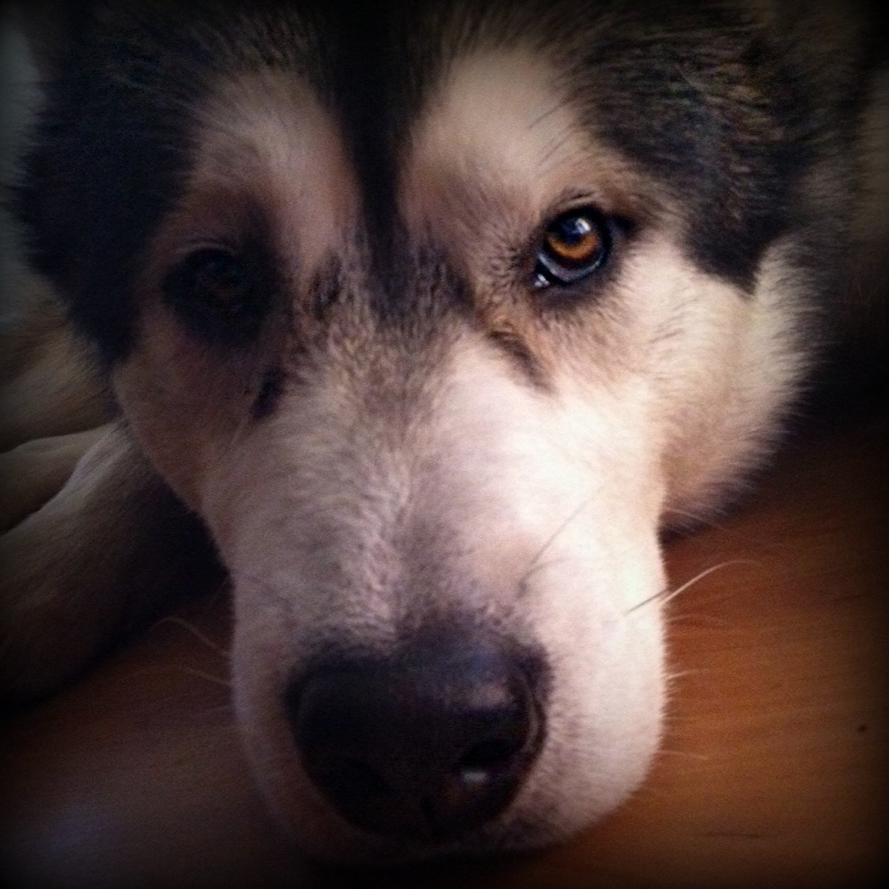 brenjo2000's profile picture. 