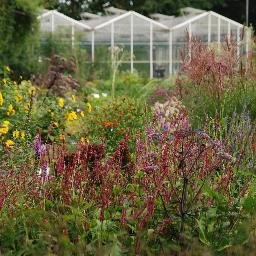 Marnis kwekerij is een vaste plantenkwekerij met voorbeeldtuin. Specialisatiegebieden zijn rozen, clematissen en schaduwplanten.