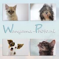 Wanyama-photo (@wanyamaphoto) 's Twitter Profile