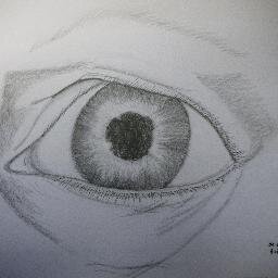 Drawing classes based in Langport, Somerset for all levels from beginner to expert