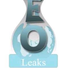 SearchEngineLeaks is a not-for-profit, independent organization with only one goal: Reveal important news and information in SEO industry to the public