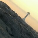 علي المزروعي - @ali_almazrouei1 - Twitter