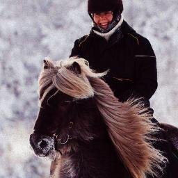 RellaTuija's profile picture. Maalaishetkiä ja -energiaa tarjoava kolmalainen islanninhevosyritys.