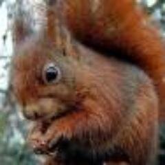 annadani08's profile picture. 